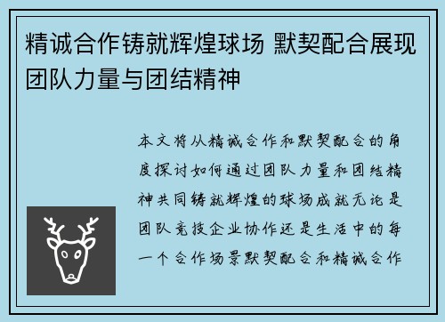 精诚合作铸就辉煌球场 默契配合展现团队力量与团结精神