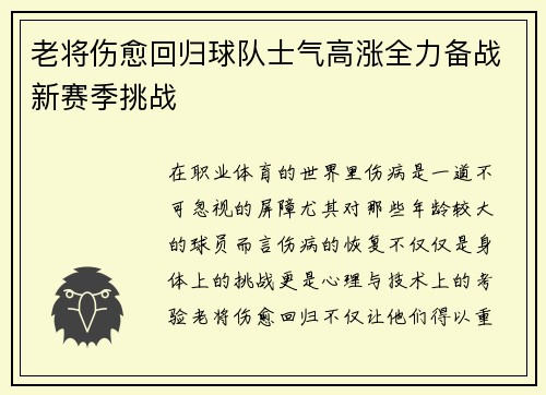 老将伤愈回归球队士气高涨全力备战新赛季挑战