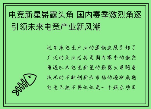 电竞新星崭露头角 国内赛季激烈角逐 引领未来电竞产业新风潮